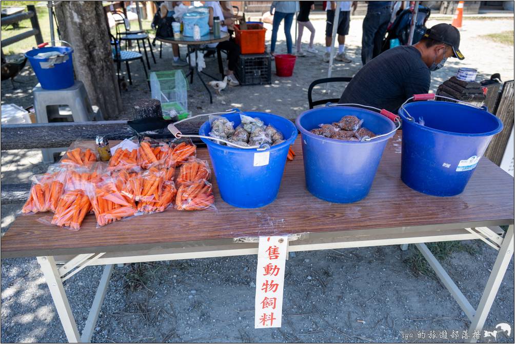 餵養小動物的飼料可以在騎馬體驗的收費處櫃台購買