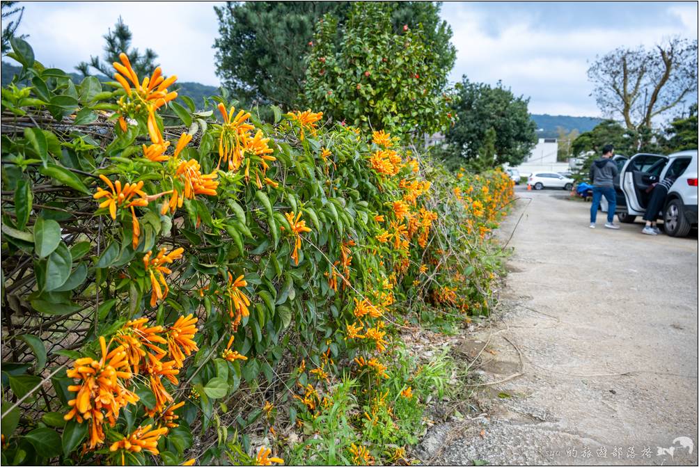 陽明山的超夯人氣野菜店 松竹園 停車場