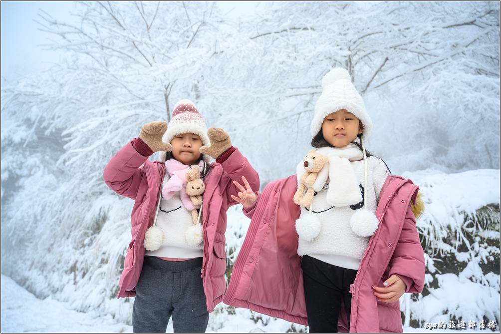 真的有種出國賞雪的錯覺