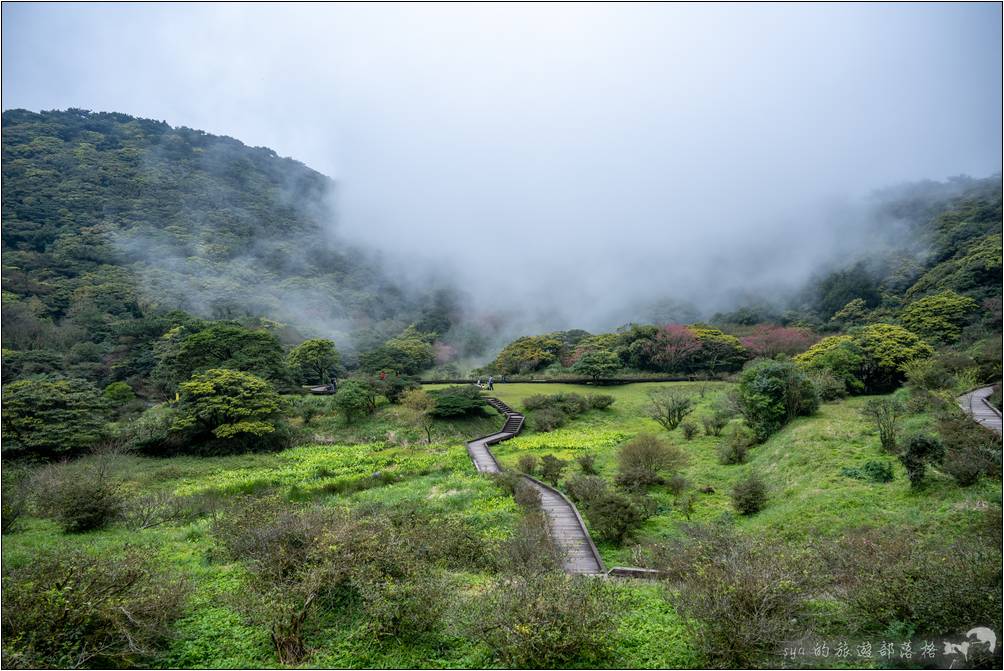 剛才清新的視野，轉瞬間就被飄來的山嵐遮住了後方的山頭