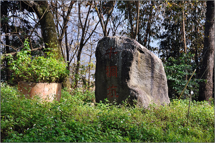 南投信義柳家梅園