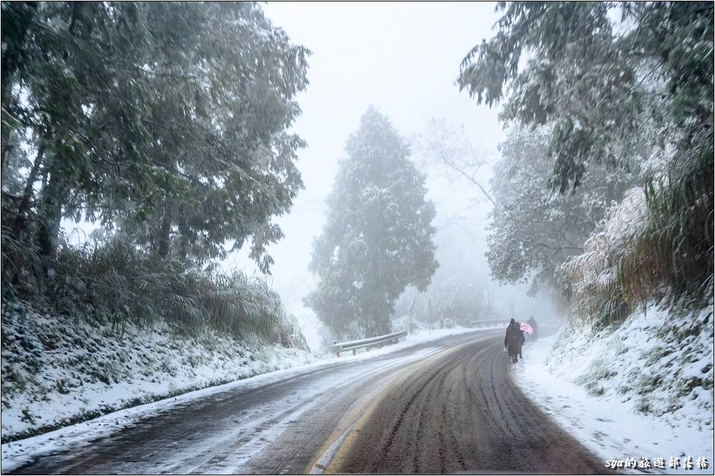 過了管制站才發現，剛才看到一寫雪照片拍得那麼起勁，沒想到山上這個才是雪景阿～