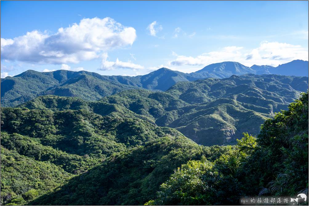 這也是種抹茶山吧