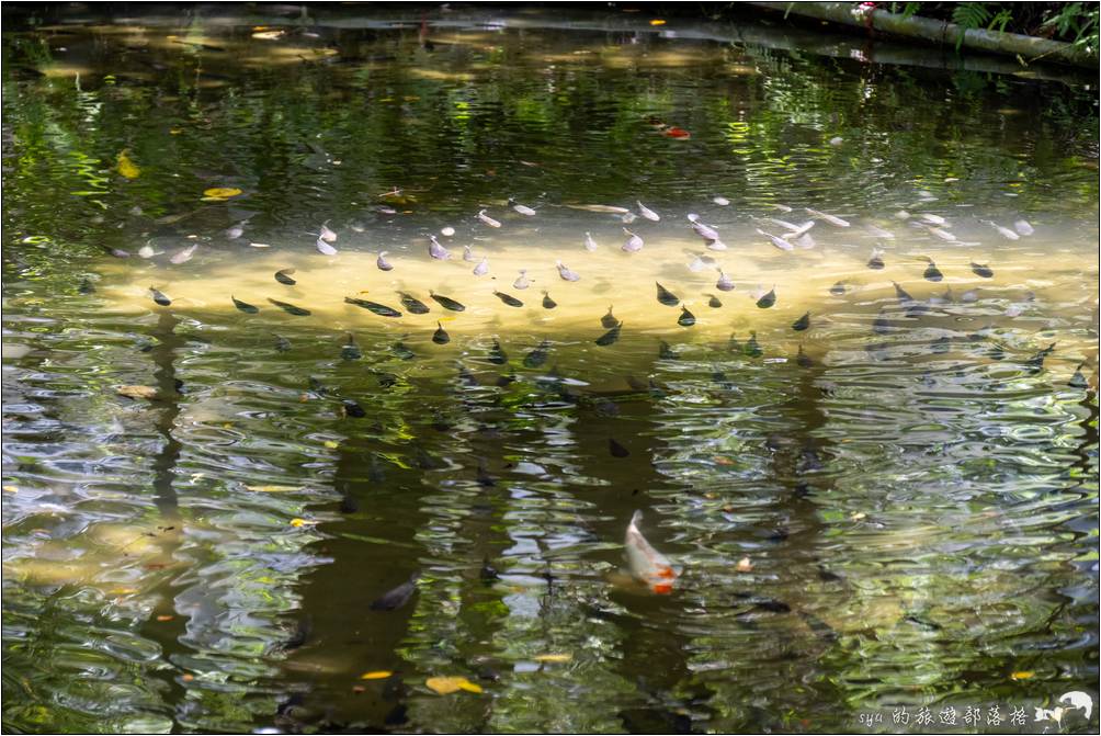 日暉國際渡假村 日暉生態公園