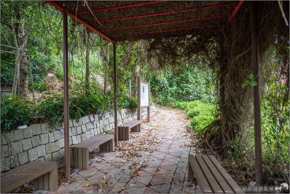 頭份後花園 老崎古道