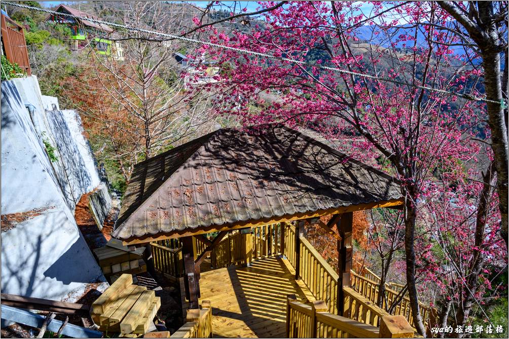 春大地渡假山莊 景觀步道