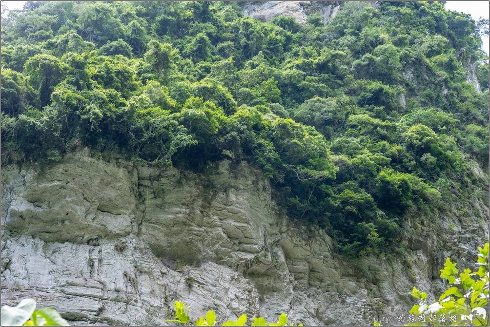 步道對岸整片的大岩壁與上頭的大片樹林頗為壯觀