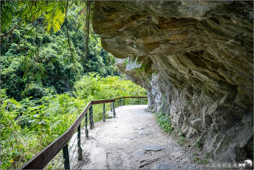 這種一側是山壁、一側是溪谷、峽谷的景色就是砂卡礑步道的招牌特色