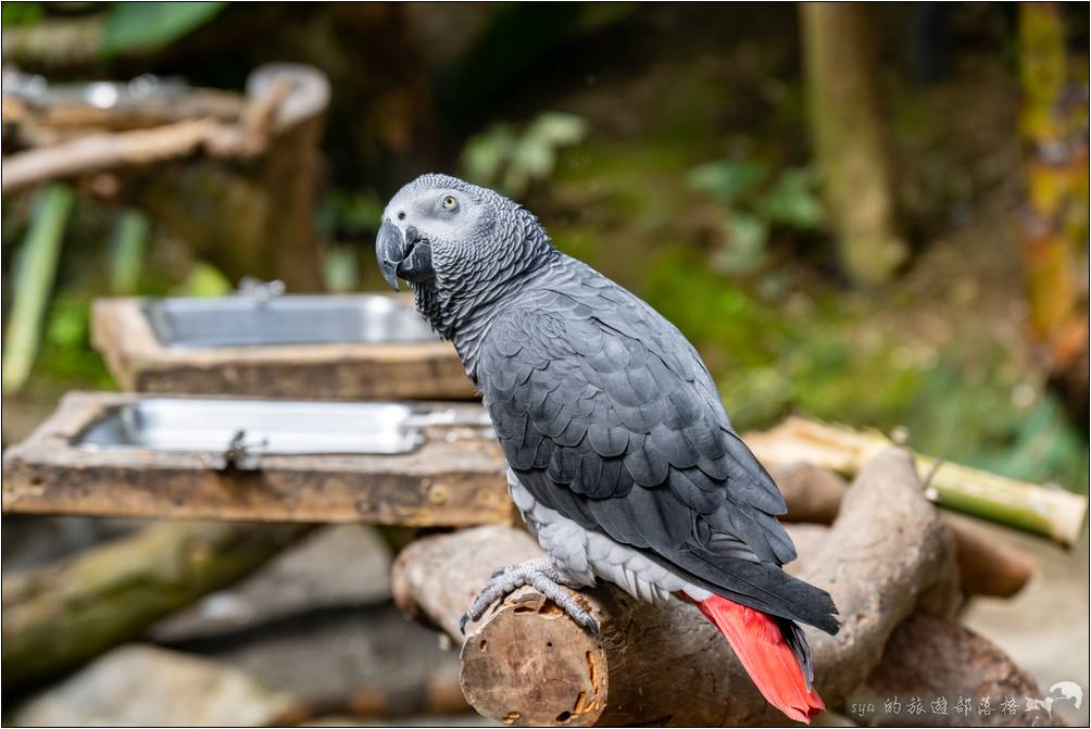 生物多樣性探索區 鳥類