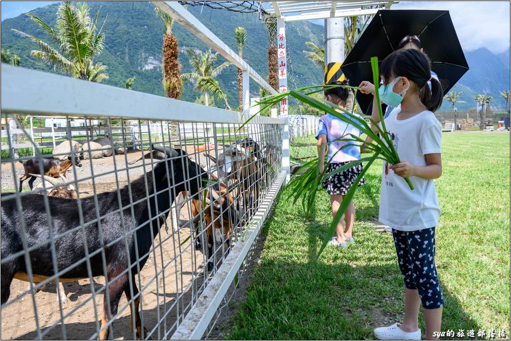 崇德瑩農場 動物親近區