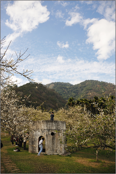 南投信義柳家梅園