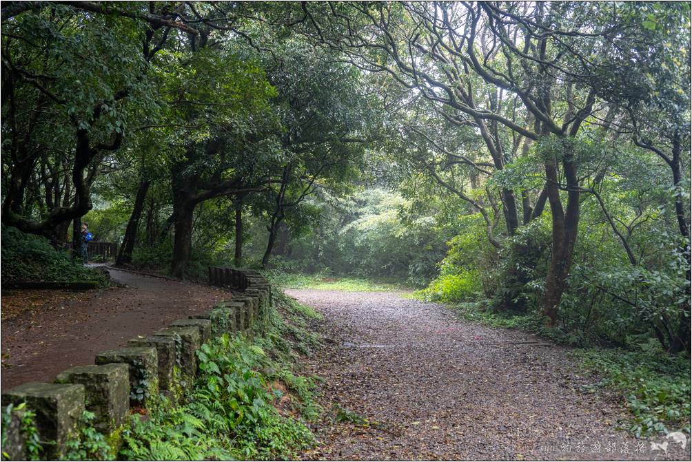 碎石路面與平地路面在部份路段時有較明顯的區隔