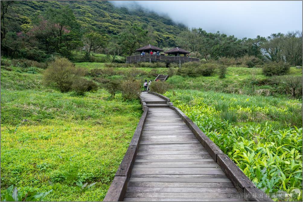 擁有超幽靜美景的大屯自然公園