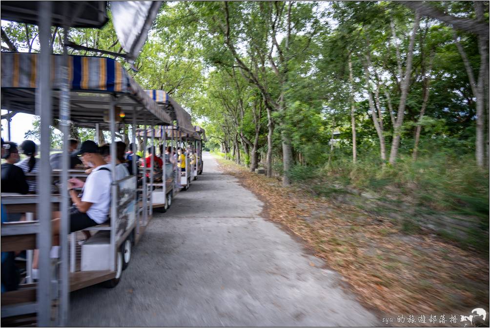 日暉國際渡假村 池上捷運天牛車