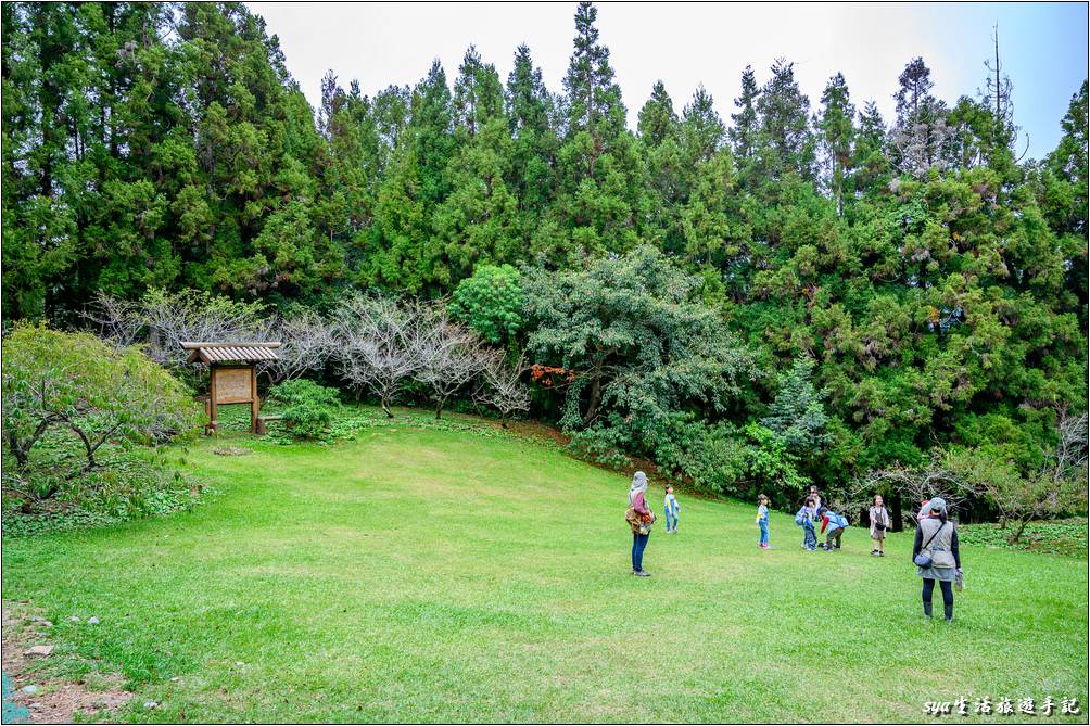 住宿大樓前方的大草皮