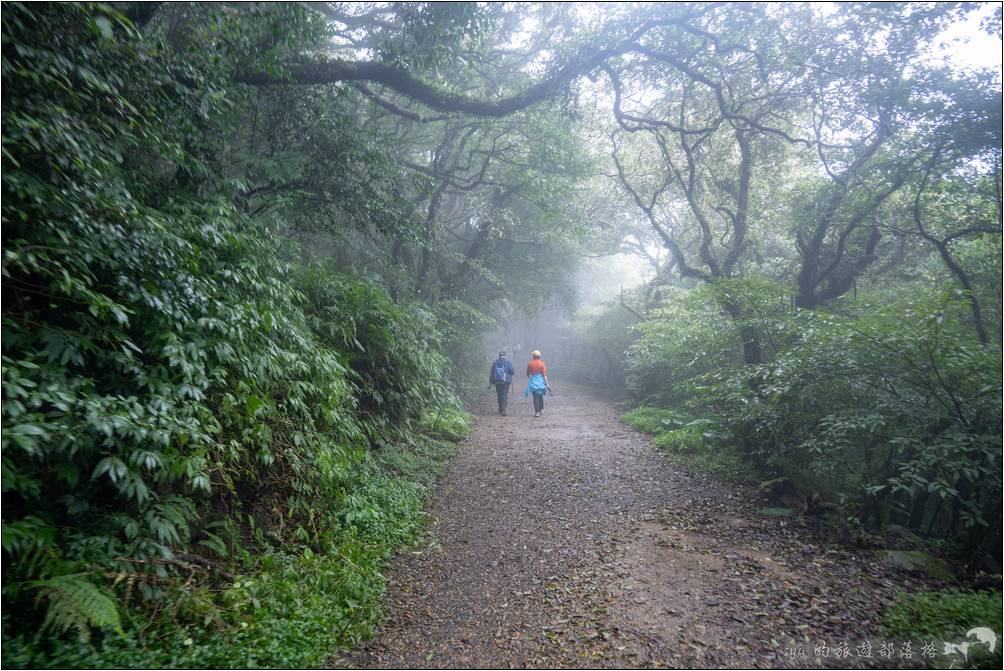 我們造訪的這天，二子坪步道一帶山嵐一陣陣。