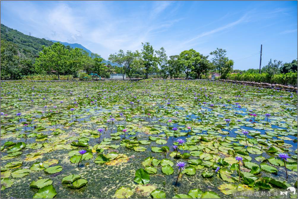 蓮城連花園