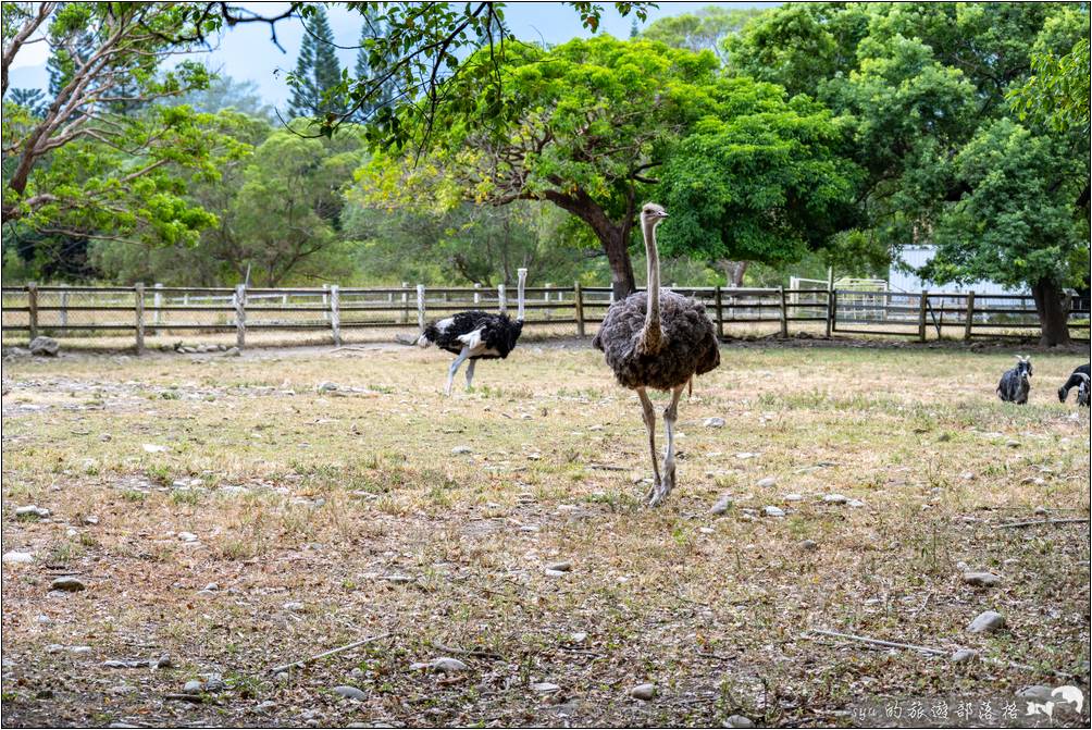 牧野渡假村 野生動物觀賞區