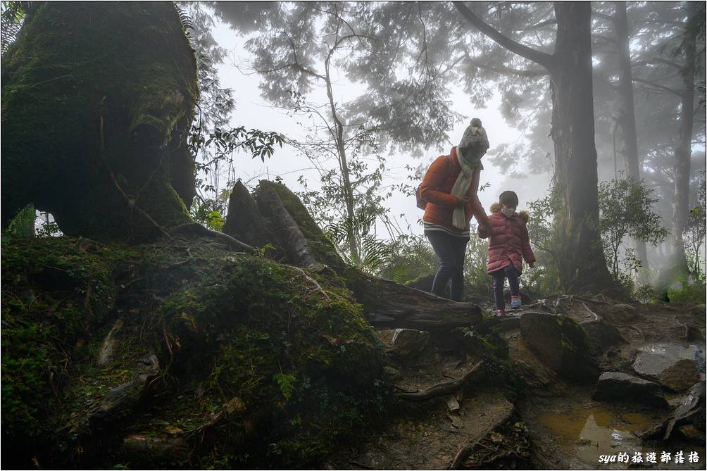 部分路段在雨後積水嚴重，帶小小朋友來走時需要慎選路線，免得運材的鐵軌濕滑，踩踏的話很容易滑倒。