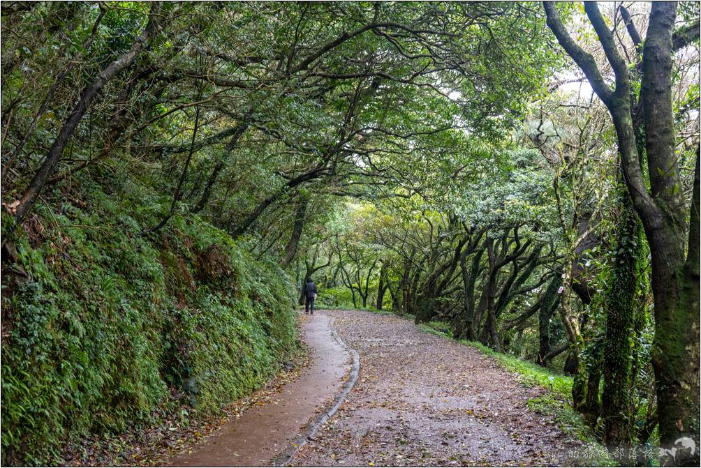 輕鬆、沒有難度的二子坪步道