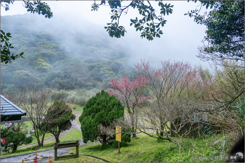 二子坪遊憩區的涼亭區