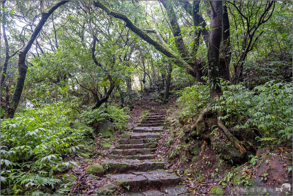 若是雨天過後，這段石階因為夾雜著青苔與泥土，因此要小心步行。