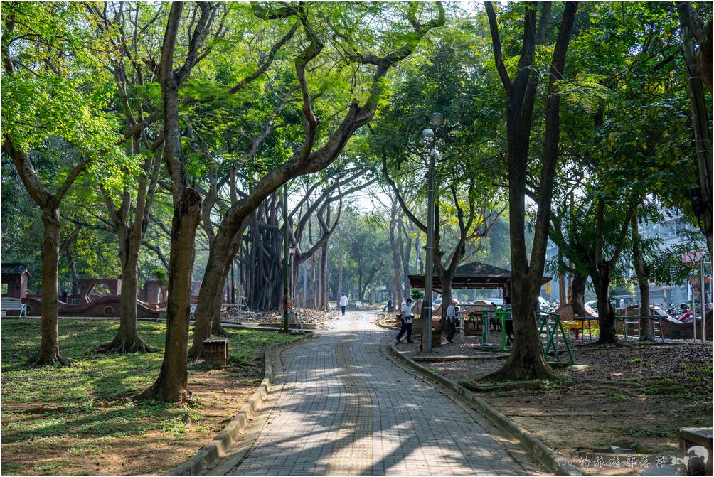 嘉義公園因為包含了之前的嘉義植物園，因此園區內有著妥善的管理，林木相當的茂密、植栽種類相當的豐富