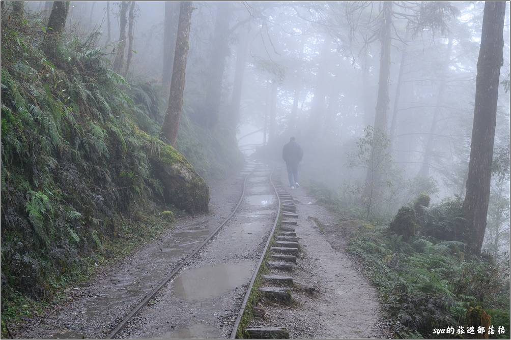 見晴懷古步道隨著山中快速移動的雲霧，步道也時晴時朦朧，要不是這趟地面積水嚴重，幾乎全程都要很注意小朋友的安全，應該是條照片可以拍得很開心的小徑。