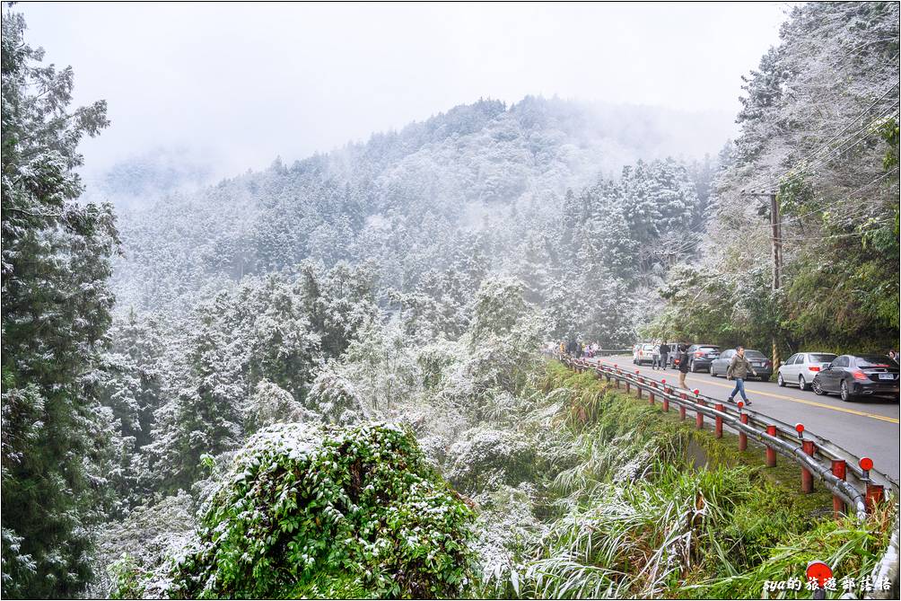 隨著道路慢慢的爬升，路旁慢慢有了白雪的影子，車上更是一陣驚呼！