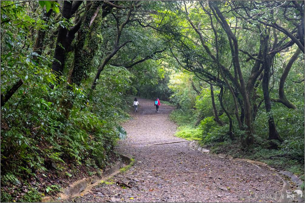 碎石路面與平地路面在部份路段時有較明顯的區隔