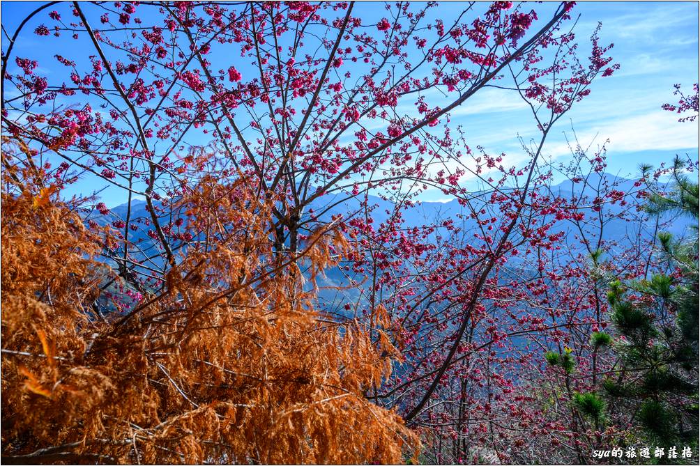 春大地渡假山莊 景觀步道