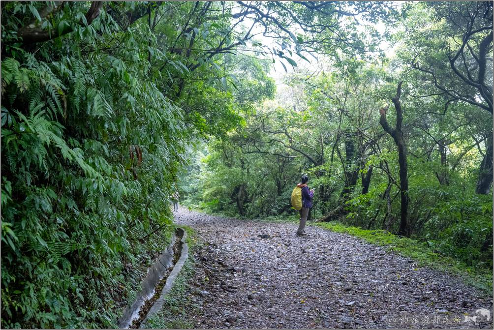 碎石路面與平地路面在部份路段時有較明顯的區隔