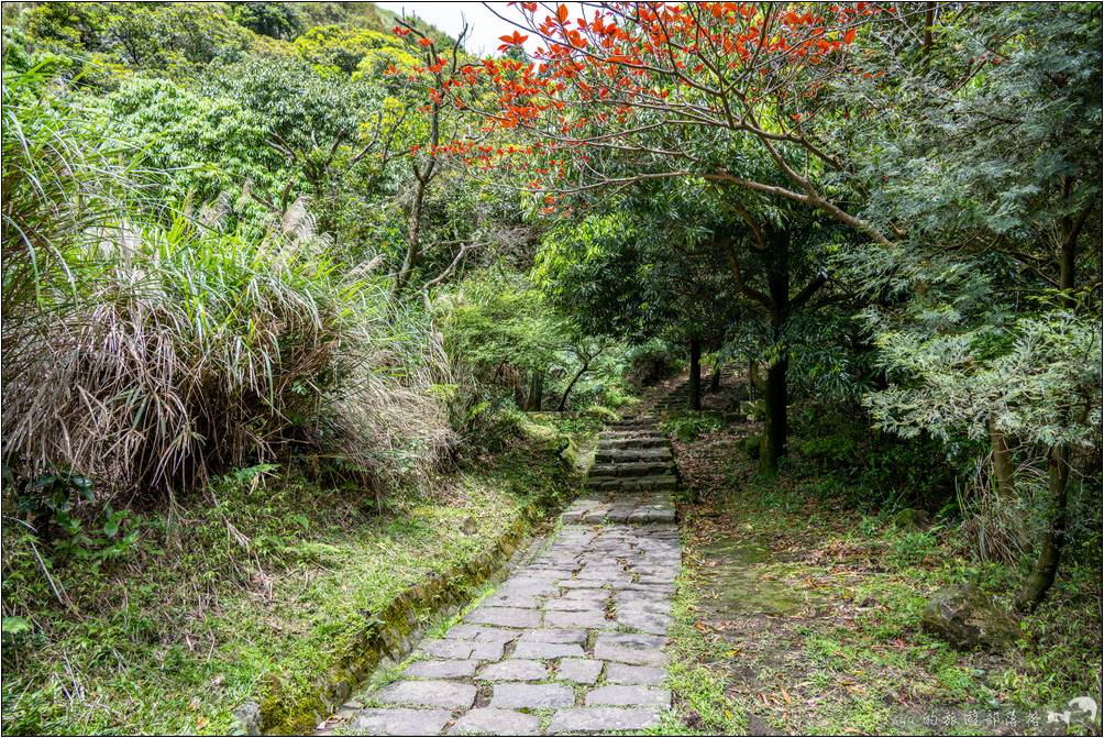 夢幻湖步道