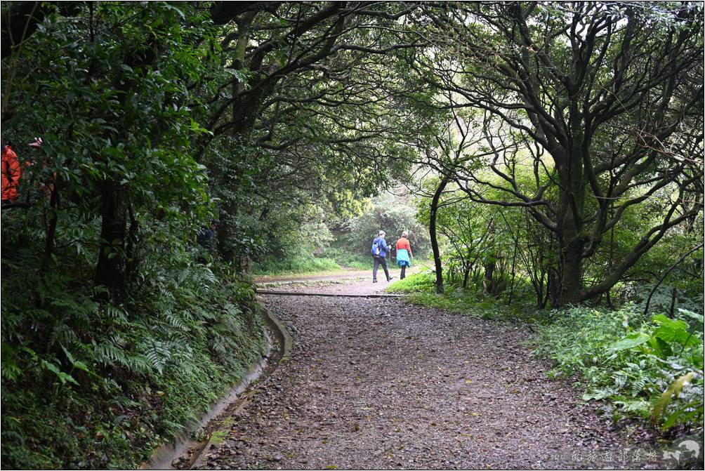 我們造訪的這天，二子坪步道一帶山嵐一陣陣，非常的夢幻。