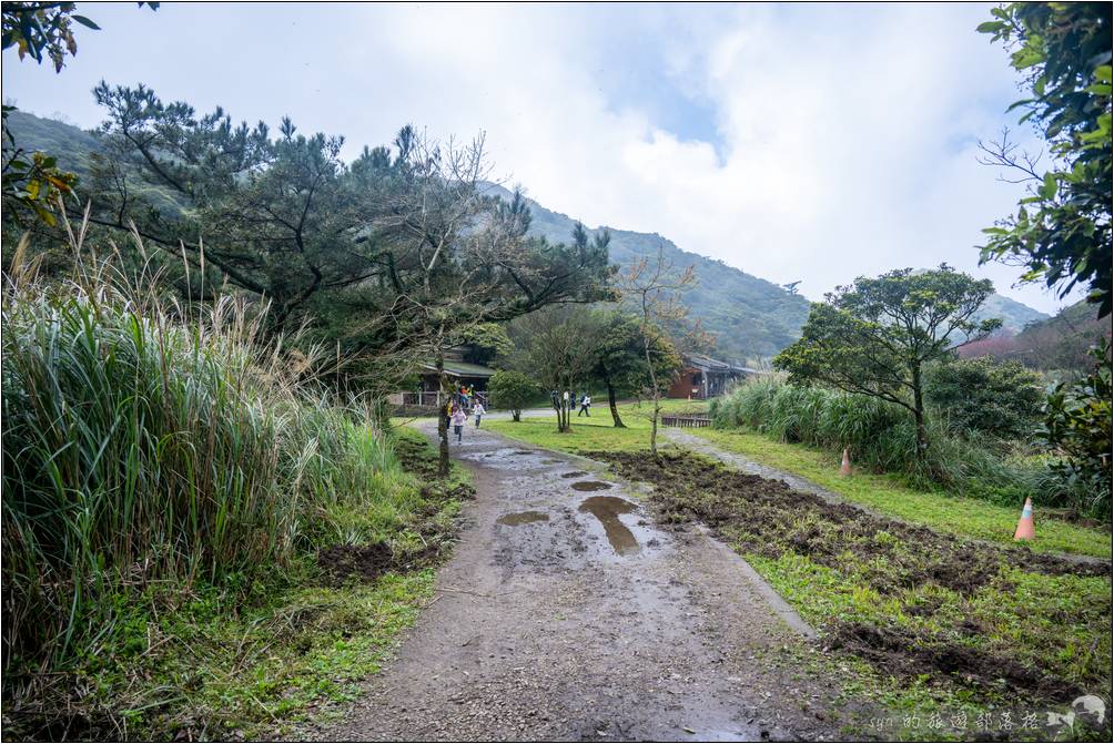 步出剛才的樹林步道後，就會抵達景色很優美的二子坪遊憩區。