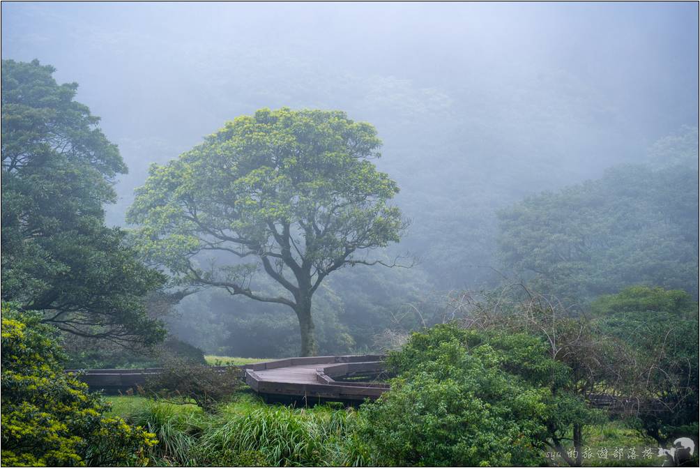 擁有超幽靜美景的大屯自然公園