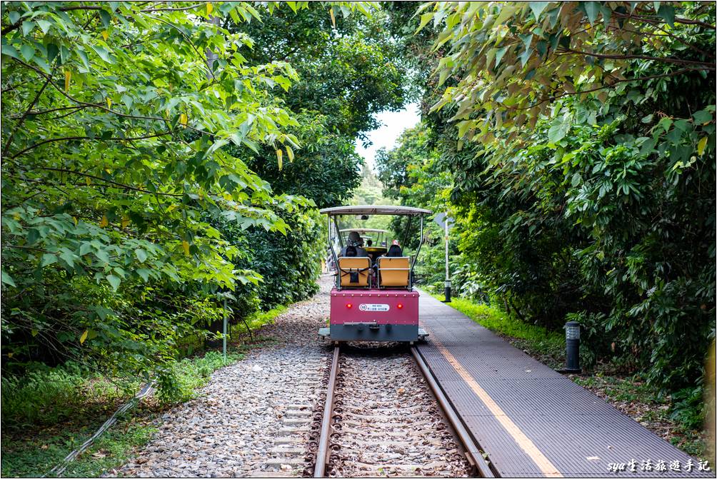 返回車上後，迎接我們的是最後一段的旅程，在穿過鐵橋後就會返抵龍騰車站。