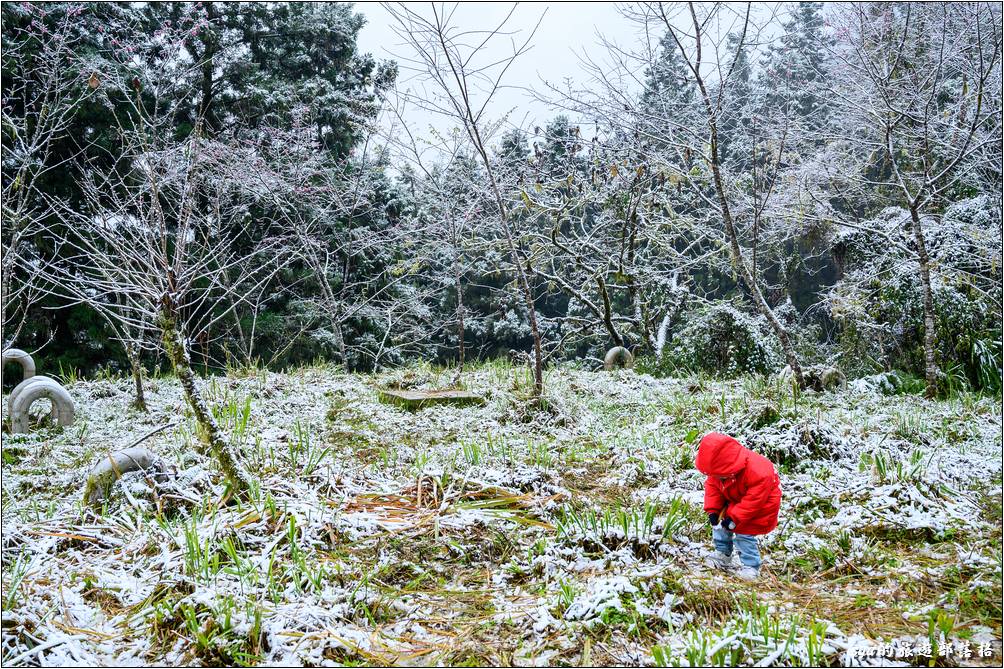 雖然不是第一次看到雪，但第一次在台灣看到就是格外的興奮。