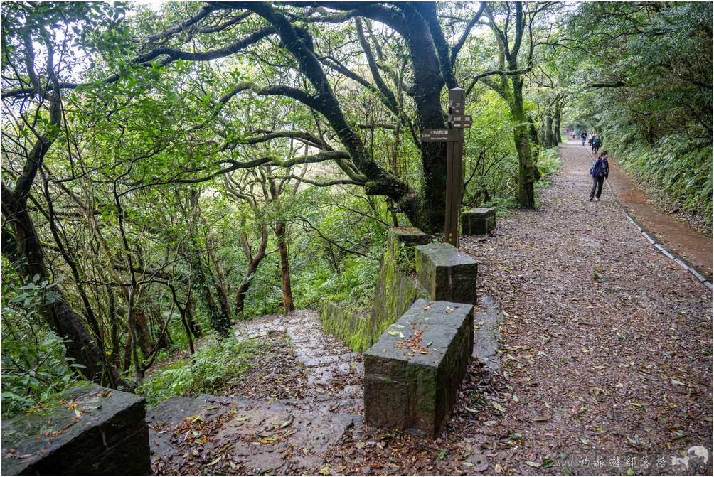 大屯山停車場步道與二子坪步道的連接處