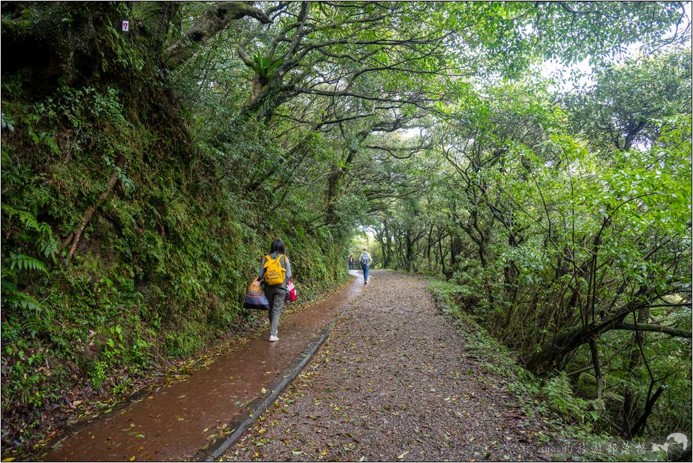 輕鬆、沒有難度的二子坪步道