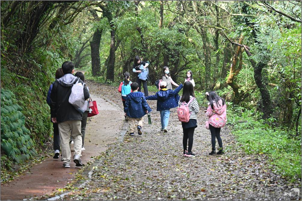 輕鬆、沒有難度的二子坪步道