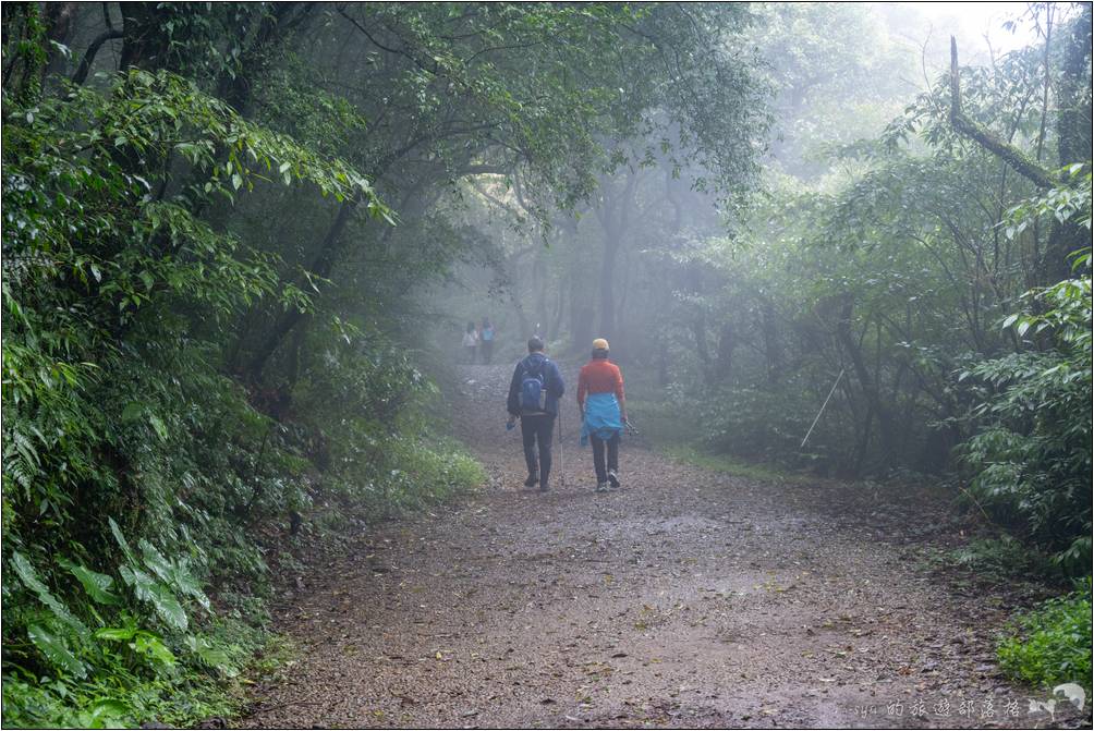 我們造訪的這天，二子坪步道一帶山嵐一陣陣，非常的夢幻。