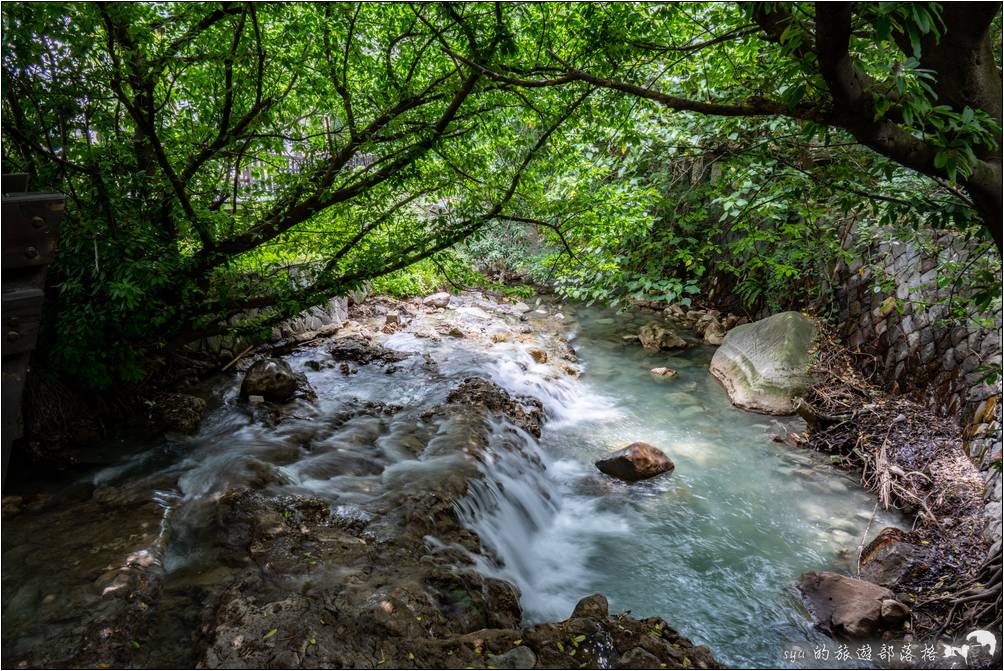 木橋旁的溪景