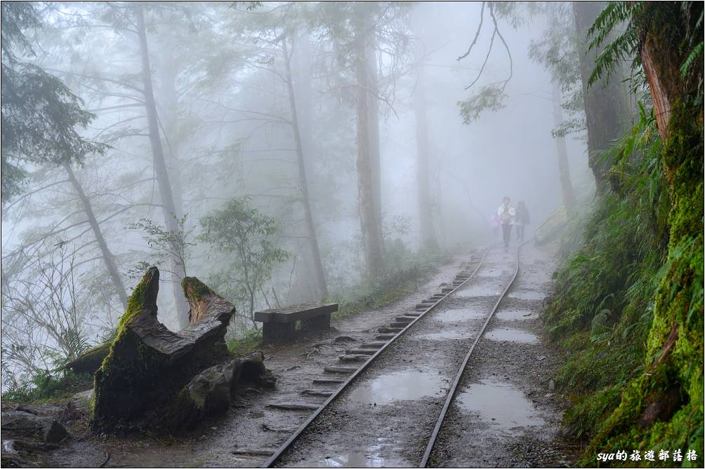 怡人的闔家賞景步道