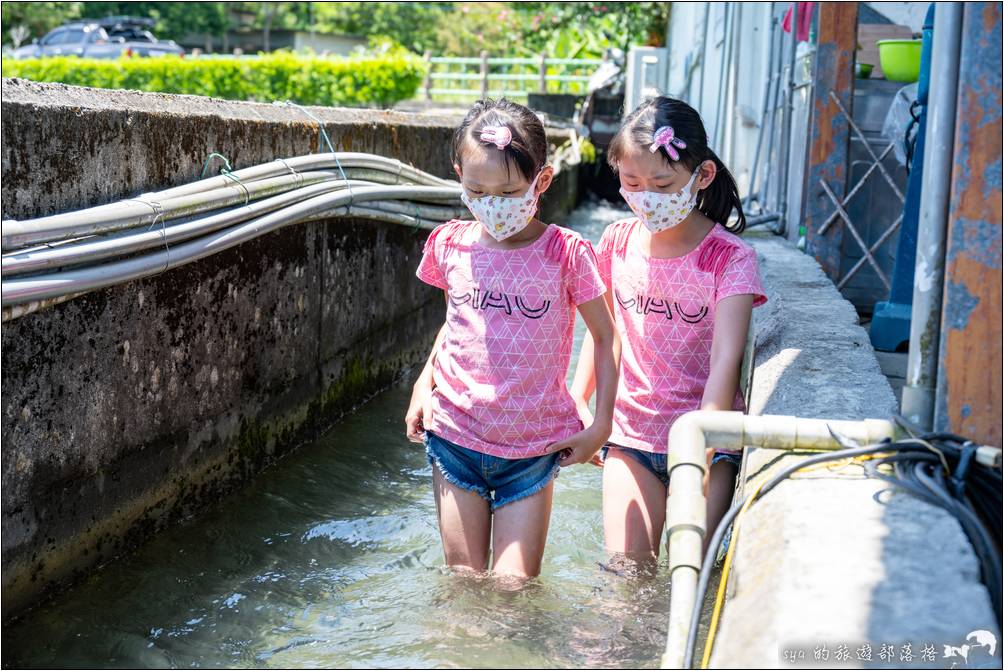 蓮城蓮花園 水圳泡腳戲水