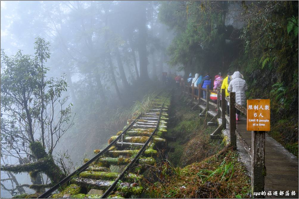 怡人的闔家賞景步道