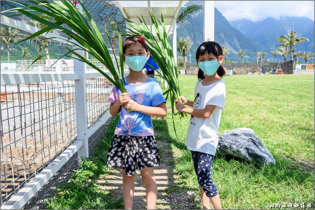 崇德瑩農場 動物親近區