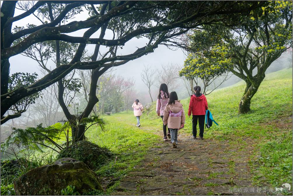 終於又走回了大屯公園第一停車場附近的大屯自然公園景觀台