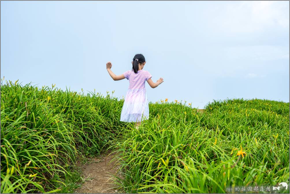 步道旁的一條小徑