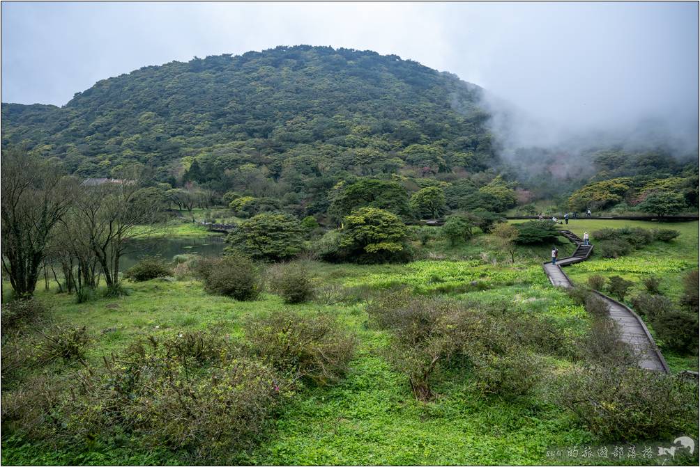 從這個景觀涼亭可以俯瞰整個大屯自然公園的景色